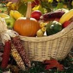 #62 The Harvest
